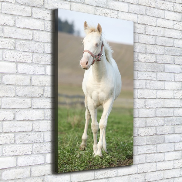 Quadro foto su tela verticale Cavallo albino
