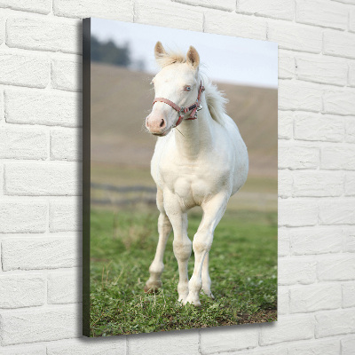 Quadro foto su tela verticale Cavallo albino