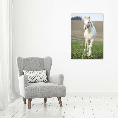 Quadro foto su tela verticale Cavallo albino