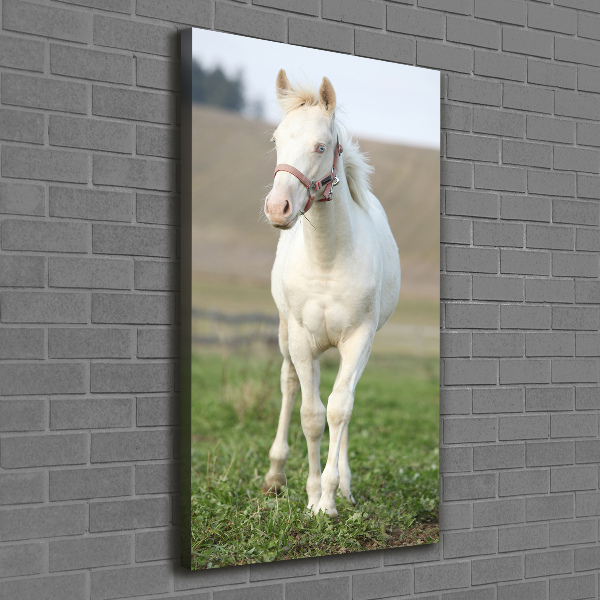 Quadro foto su tela verticale Cavallo albino