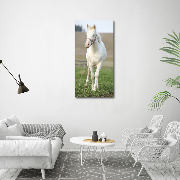 Quadro foto su tela verticale Cavallo albino