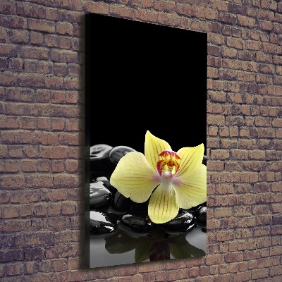 Quadro foto su tela verticale Orchidea e pietre