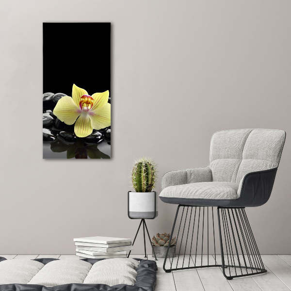 Quadro foto su tela verticale Orchidea e pietre