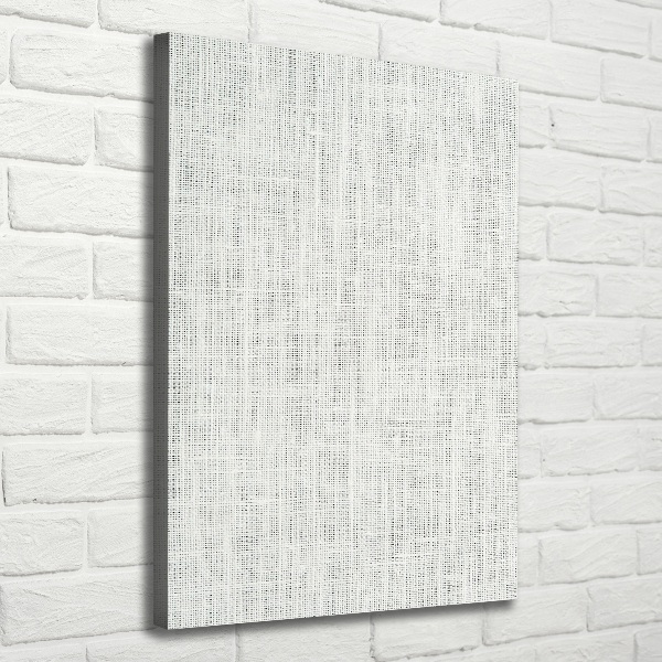 Quadro su tela canvas verticale Tela di lino bianca