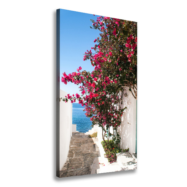 Quadro su tela canvas verticale Strade greche