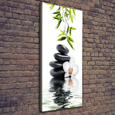 Stampa quadro su tela verticale Orchidea e pietre
