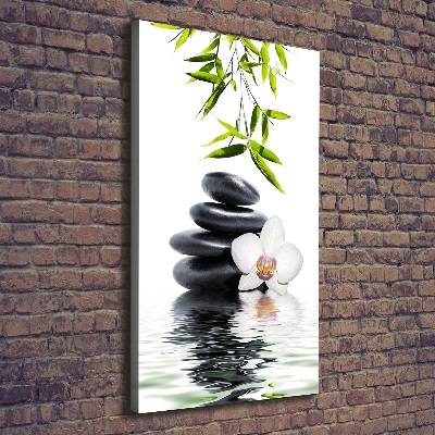Stampa quadro su tela verticale Orchidea e pietre