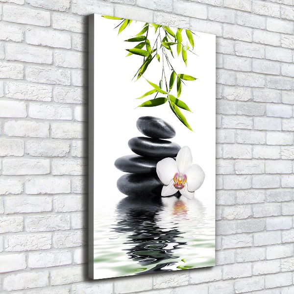 Stampa quadro su tela verticale Orchidea e pietre