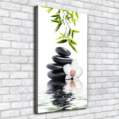 Stampa quadro su tela verticale Orchidea e pietre
