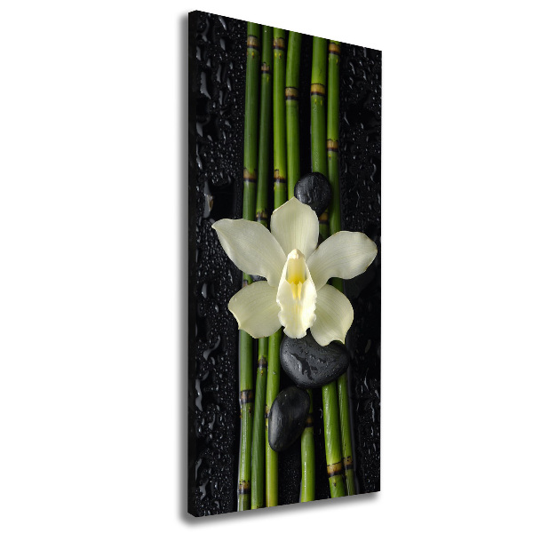 Quadro su tela canvas verticale Orchidea e bambù