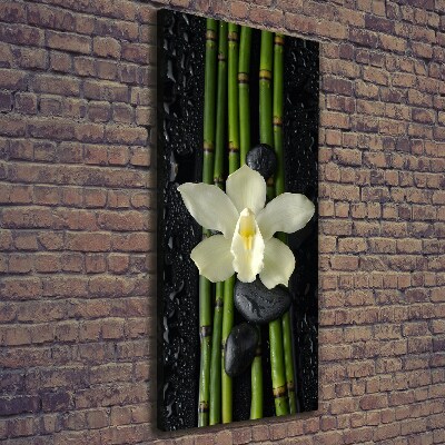 Quadro su tela canvas verticale Orchidea e bambù