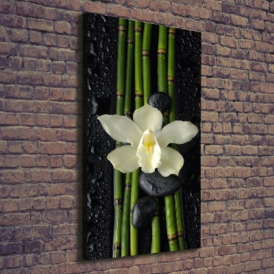 Quadro su tela canvas verticale Orchidea e bambù