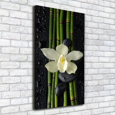 Quadro su tela canvas verticale Orchidea e bambù
