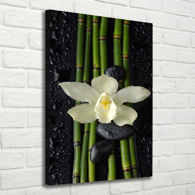 Quadro su tela canvas verticale Orchidea e bambù