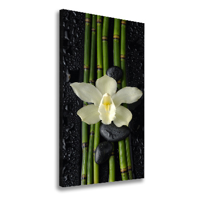 Quadro su tela canvas verticale Orchidea e bambù