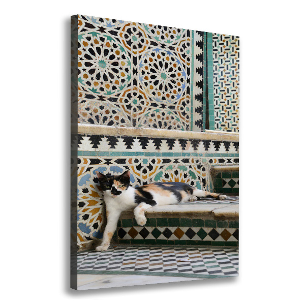 Quadro su tela canvas verticale Un gatto in Marocco