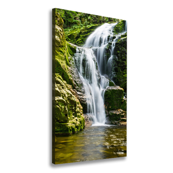 Quadro su tela canvas verticale Cascata