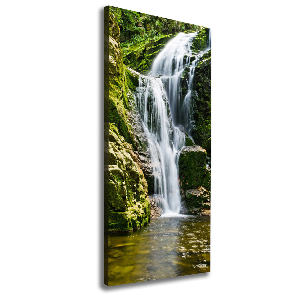 Quadro su tela canvas verticale Cascata