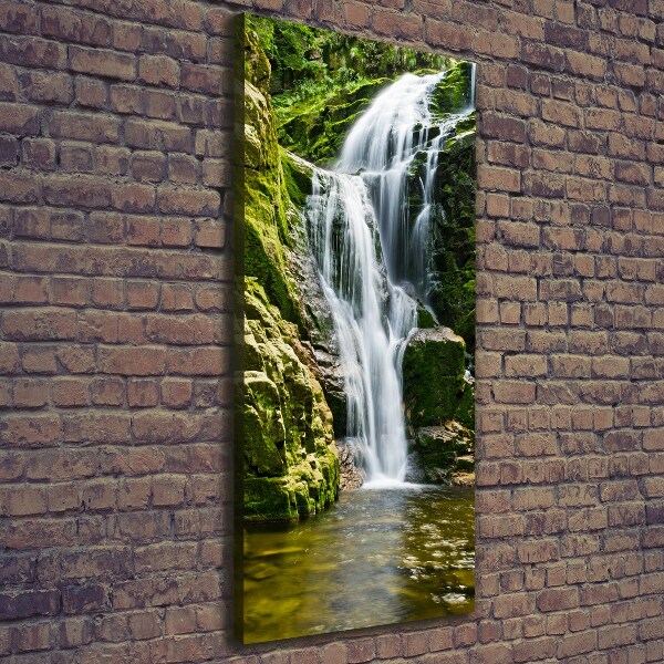 Quadro su tela canvas verticale Cascata