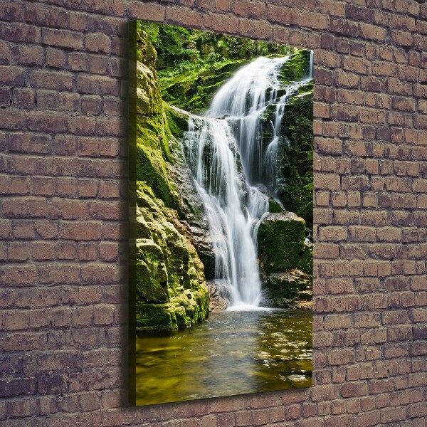 Quadro su tela canvas verticale Cascata