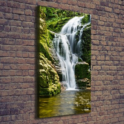 Quadro su tela canvas verticale Cascata