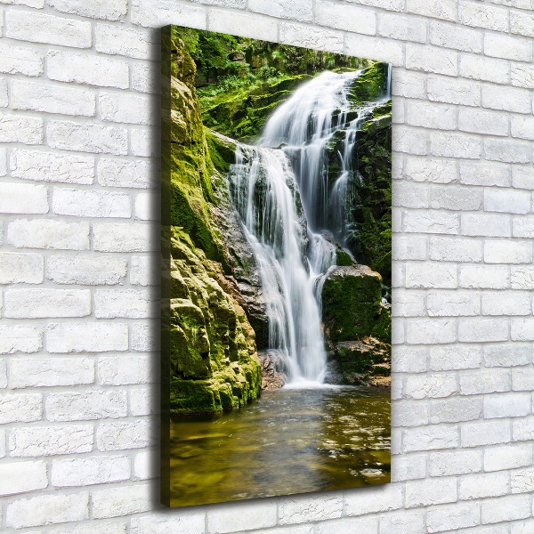 Quadro su tela canvas verticale Cascata