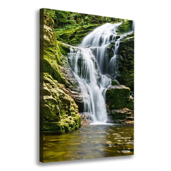 Quadro su tela canvas verticale Cascata