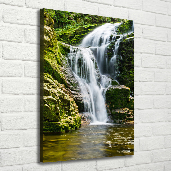 Quadro su tela canvas verticale Cascata