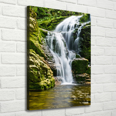 Quadro su tela canvas verticale Cascata