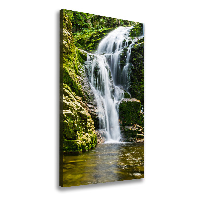 Quadro su tela canvas verticale Cascata