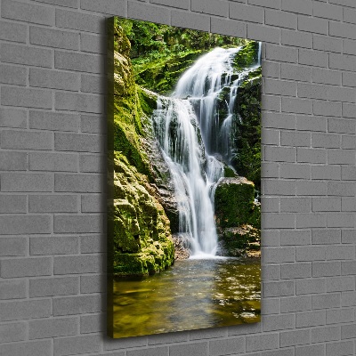 Quadro su tela canvas verticale Cascata
