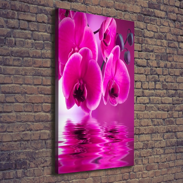 Stampa quadro su tela verticale Orchidea rosa