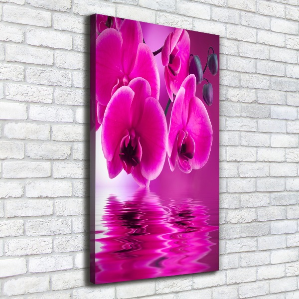 Stampa quadro su tela verticale Orchidea rosa
