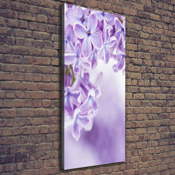 Quadro foto su tela verticale Fiori di lillà