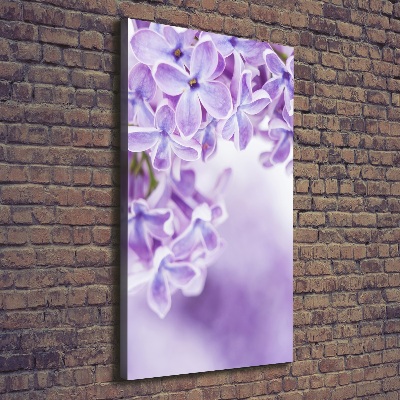 Quadro foto su tela verticale Fiori di lillà