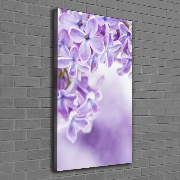 Quadro foto su tela verticale Fiori di lillà