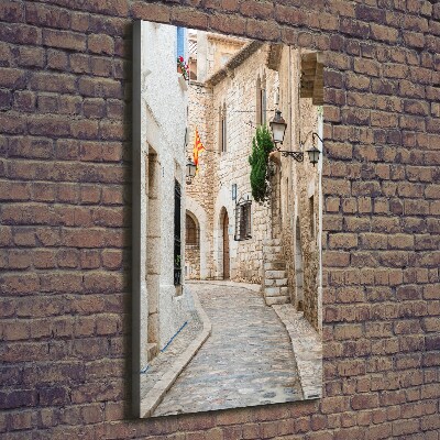 Quadro su tela canvas verticale Strade in Spagna