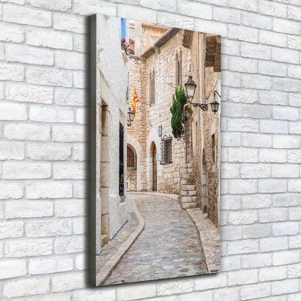 Quadro su tela canvas verticale Strade in Spagna