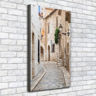 Quadro su tela canvas verticale Strade in Spagna