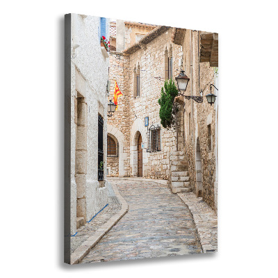 Quadro su tela canvas verticale Strade in Spagna