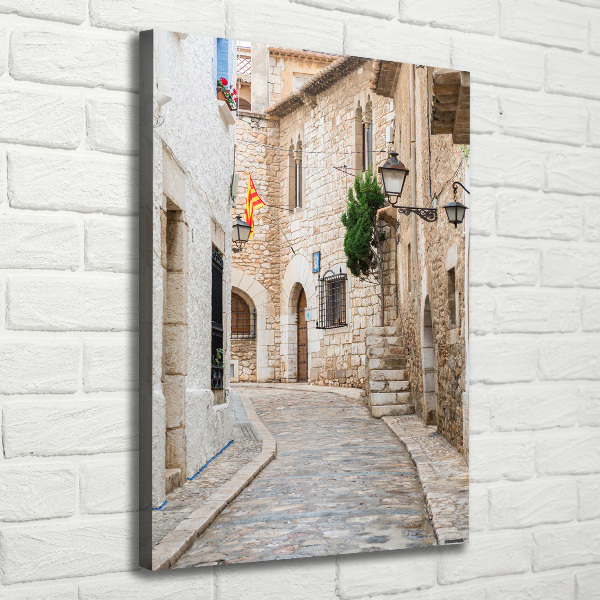 Quadro su tela canvas verticale Strade in Spagna