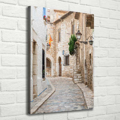 Quadro su tela canvas verticale Strade in Spagna