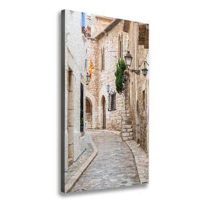 Quadro su tela canvas verticale Strade in Spagna