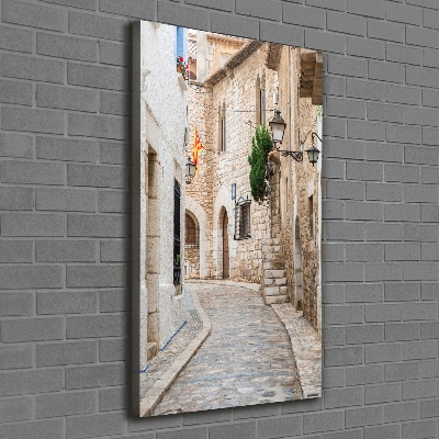 Quadro su tela canvas verticale Strade in Spagna