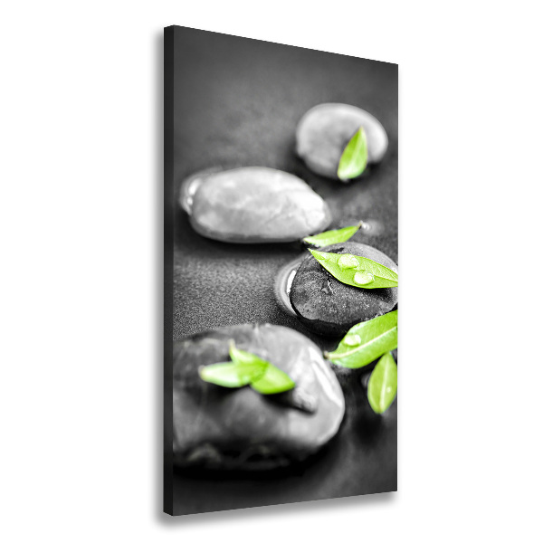 Quadro su tela canvas verticale Foglie pietre zen