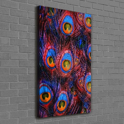 Quadro foto su tela verticale Piume di pavone