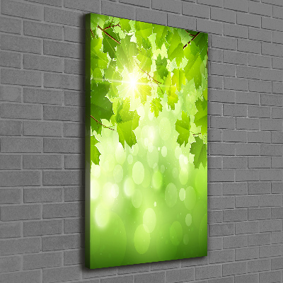 Stampa quadro su tela verticale Foglie verdi