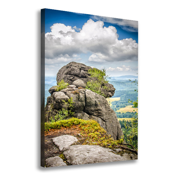 Stampa quadro su tela verticale Szczeliniec Wielki