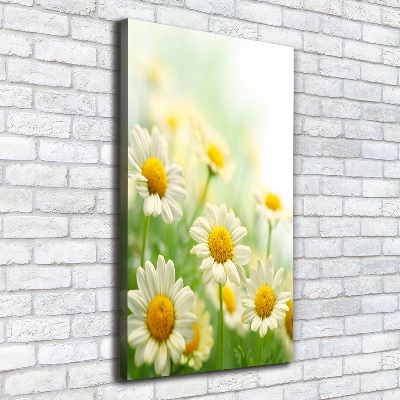 Stampa quadro su tela verticale Margherite