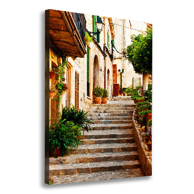 Quadro foto su tela verticale Strade in Spagna